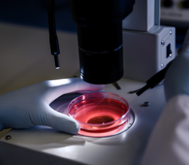 Microbiology